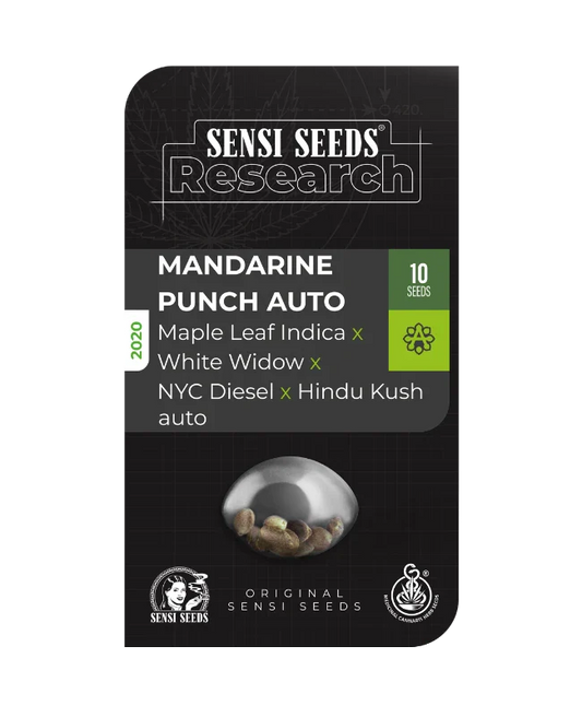 Mandarine Punch Auto - Sensi Seeds
