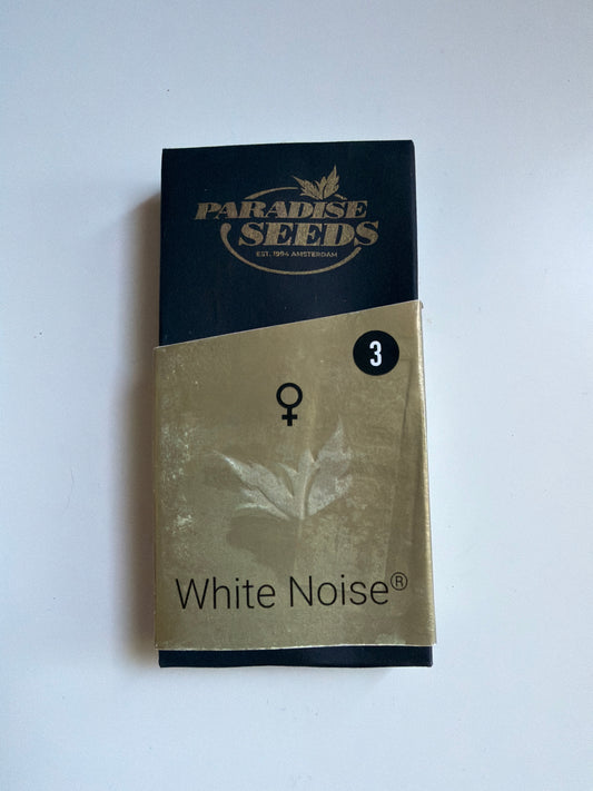 B-Ware White Noise - Paradise Seeds