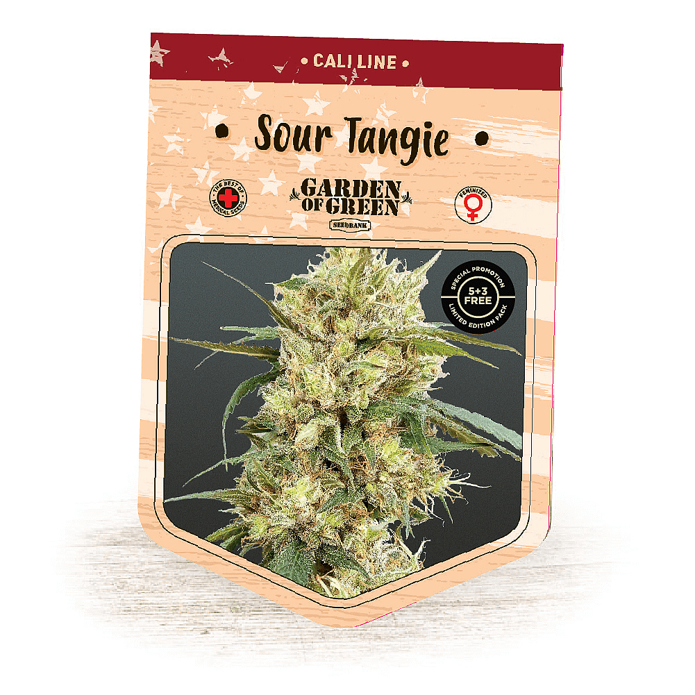 Sour Tangie - Garden of Green