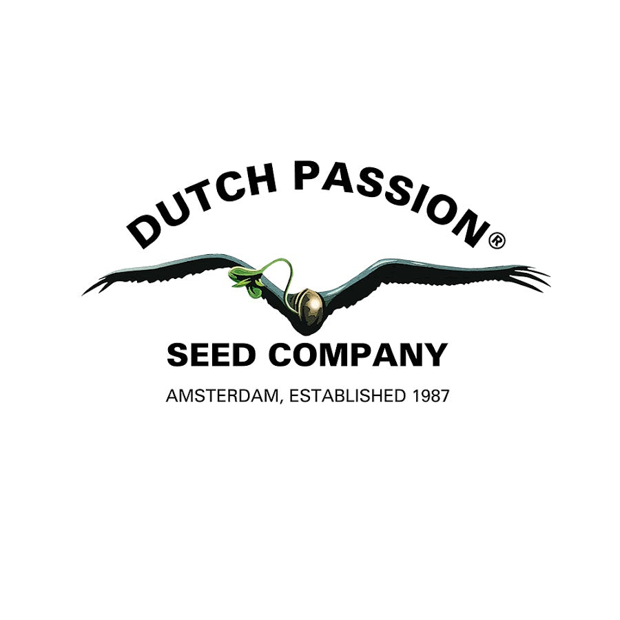 Dutch Passion