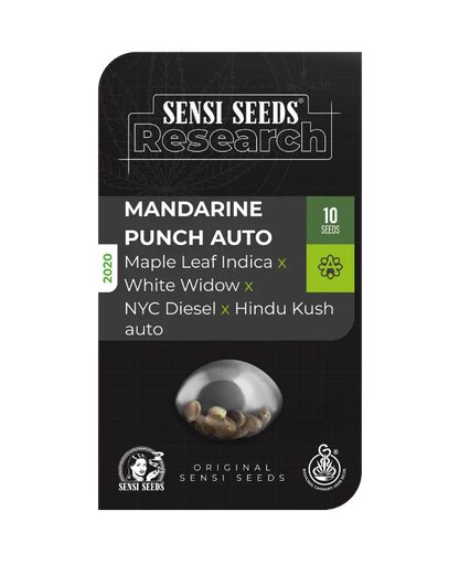 Mandarine Punch Auto - Sensi Seeds