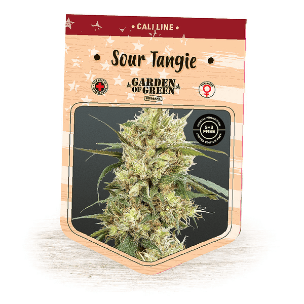 Sour Tangie - Garden of Green