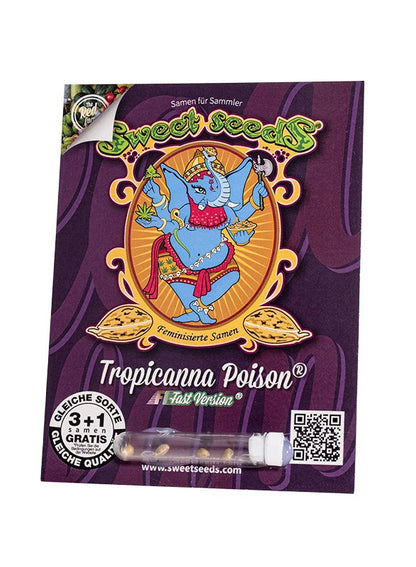 Tropicanna Poison Fast Version - Sweet Seeds